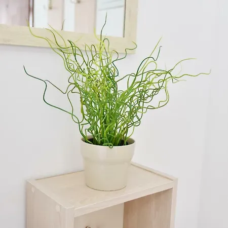 Jewel Apartment *